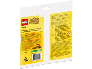 Maple's Pumpkin Garden & Beach Cleanup von LEGO – Produktfoto 5 von 7