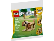 Gift: Dieren en Aurora's speeltuin in het bos - Afbeelding 3 van 7