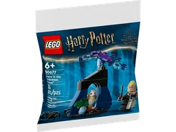 LEGO Draco in the Forbidden Forest™ (30677) - image 1