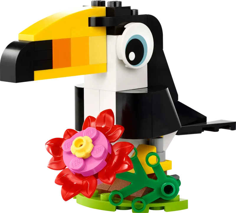 Tropical Toucan