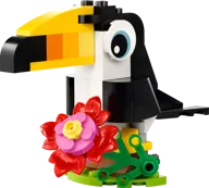 Tropische toekan - Afbeelding 1 van 3