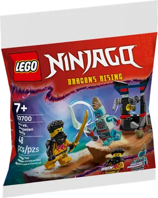 Arin vs. Dragonian Battle by LEGO – product photo 2 of 3