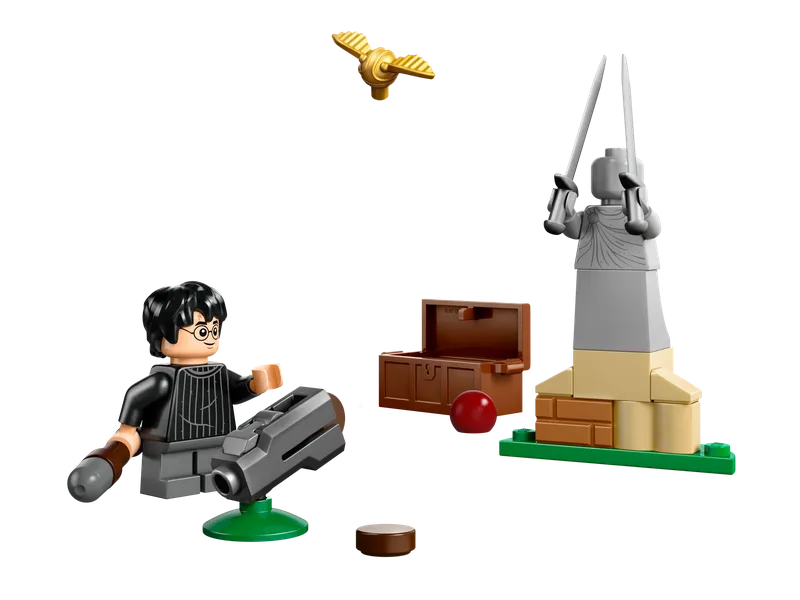 Quidditch™ Lesson