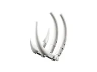 Mighty Dinosaurs - Image 6 of 11