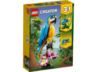 Exotic Parrot - Image 2 of 11