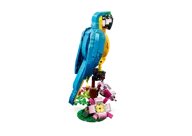 Exotic Parrot - Image 3 of 11