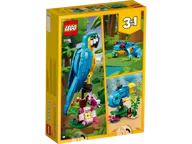 Exotic Parrot - Image 8 of 11