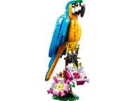 Exotic Parrot - Image 1 of 11