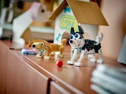 LEGO Adorable Dogs (31137) - afbeelding 9