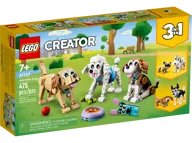 Schattige honden - Afbeelding 2 van 10