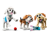 Schattige honden - Afbeelding 3 van 10