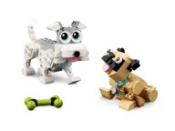 Schattige honden - Afbeelding 5 van 10