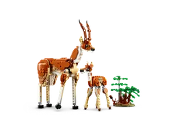 LEGO Wild Safari Animals (31150) - afbeelding 5