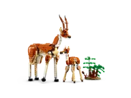 Safaridieren - Afbeelding 6 van 11