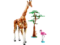 Safaridieren - Afbeelding 1 van 11