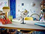 Ruimtevaarder - Afbeelding 10 van 11