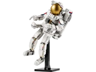 Ruimtevaarder - Afbeelding 1 van 11