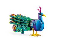 Exotic Peacock - Image 3 of 10