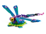 Exotic Peacock - Image 5 of 10