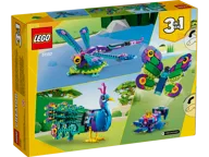 Exotic Peacock - Image 8 of 10