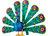 Exotic Peacock - Image 1 of 10