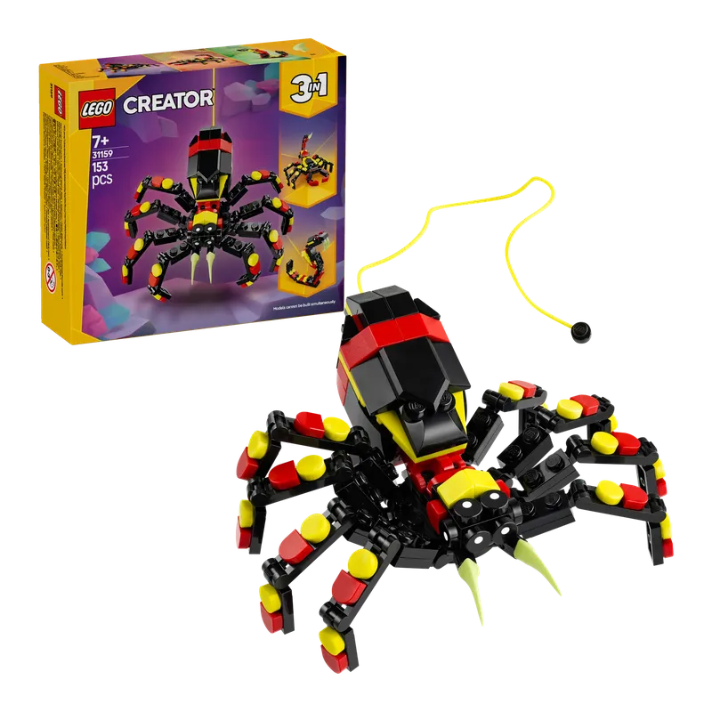 Wild Animals: Surprising Spider