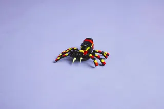 Wild Animals: Surprising Spider de LEGO – photo du produit 10 sur 13
