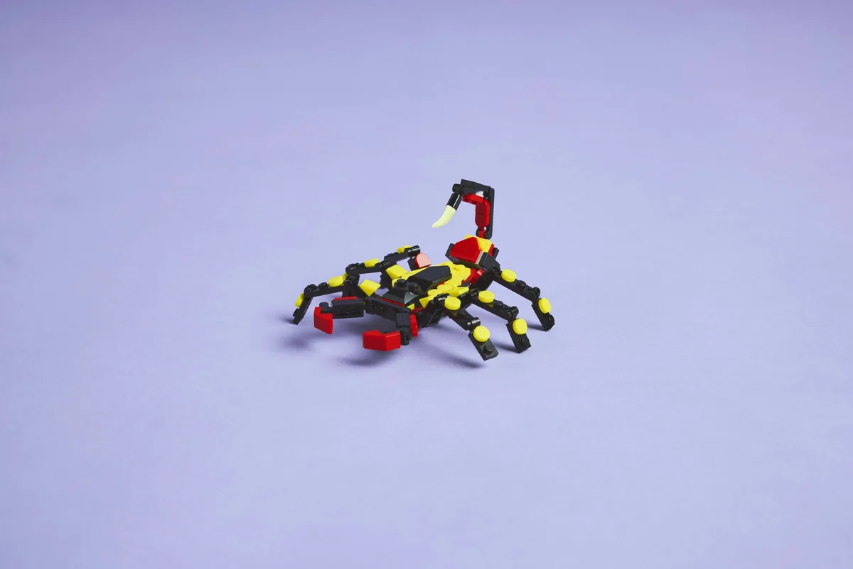LEGO Wild Animals: Surprising Spider (31159) - Bild 10