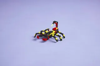 Wild Animals: Surprising Spider de LEGO – photo du produit 11 sur 13