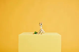 Cute Bunny von LEGO – Produktfoto 11 von 13