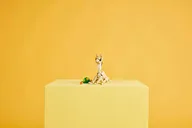 Cute Bunny - Image 11 of 13