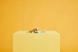 LEGO Cute Bunny (31162) - afbeelding 11