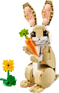 Cute Bunny - Image 1 of 13