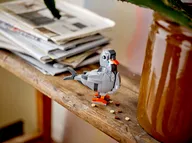 Playful Cat - Image 11 of 12