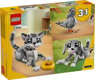 Playful Cat - Image 12 of 12