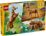 Beautiful Horse - Image 13 of 24