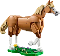 Beautiful Horse - Image 3 of 24