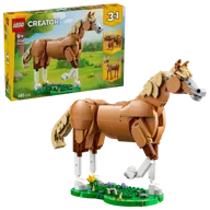 Beautiful Horse - Image 4 of 24