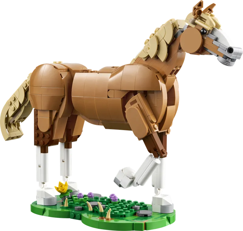 Prachtig paard