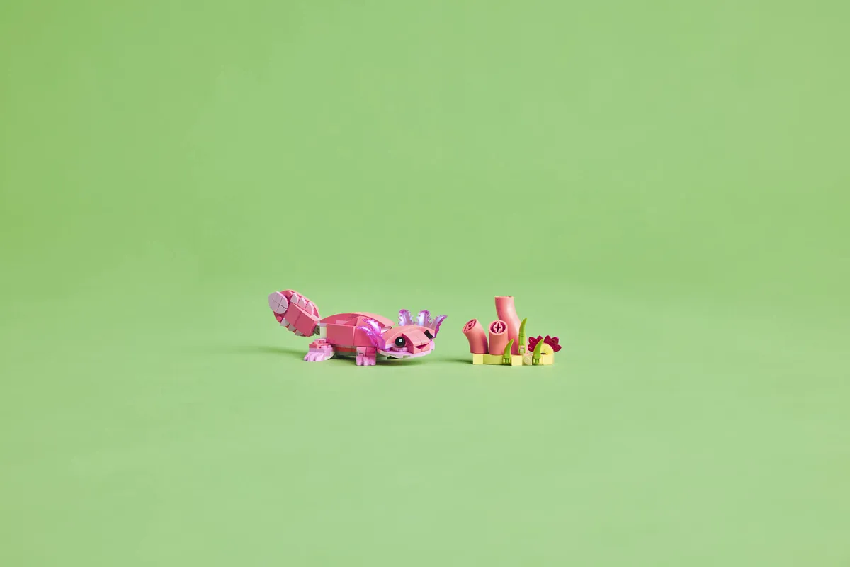LEGO Wild Animals: Pink Flamingo (31170) - Bild 10