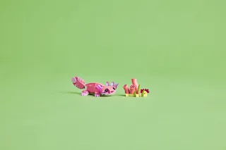 Wild Animals: Pink Flamingo von LEGO – Produktfoto 11 von 12