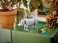 Wilde dieren: machtige neushoorn met vogels - Afbeelding 19 van 24