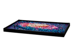 LEGO The Milky Way Galaxy (31212) - afbeelding 3