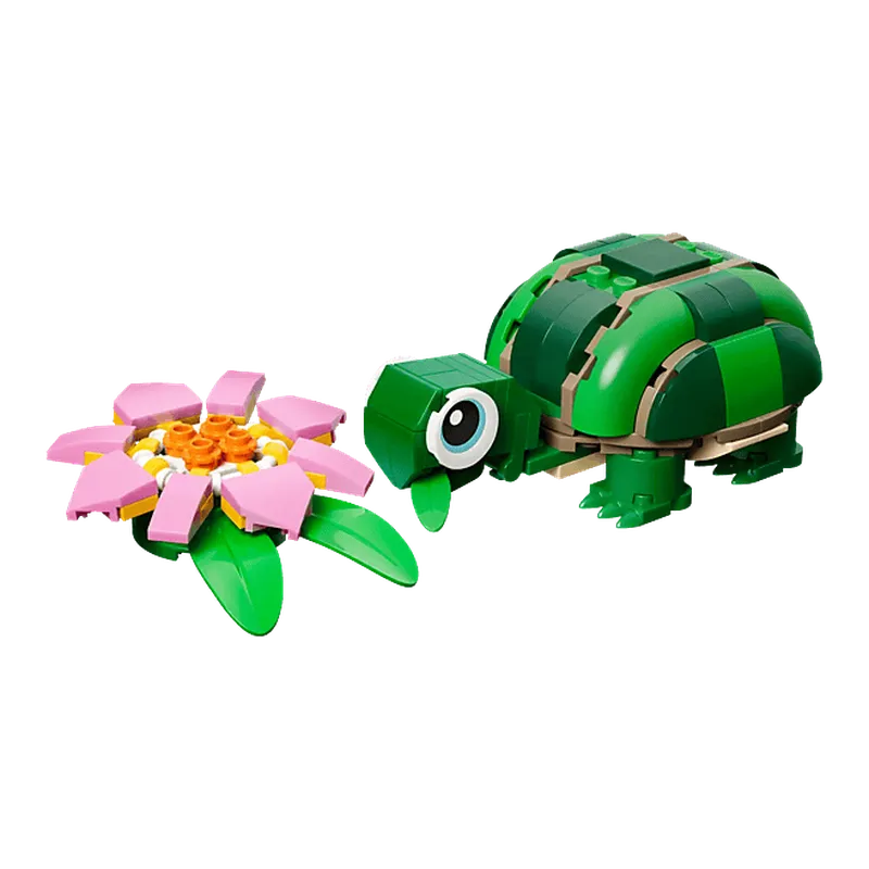 Turtle with a Water Lily Flower