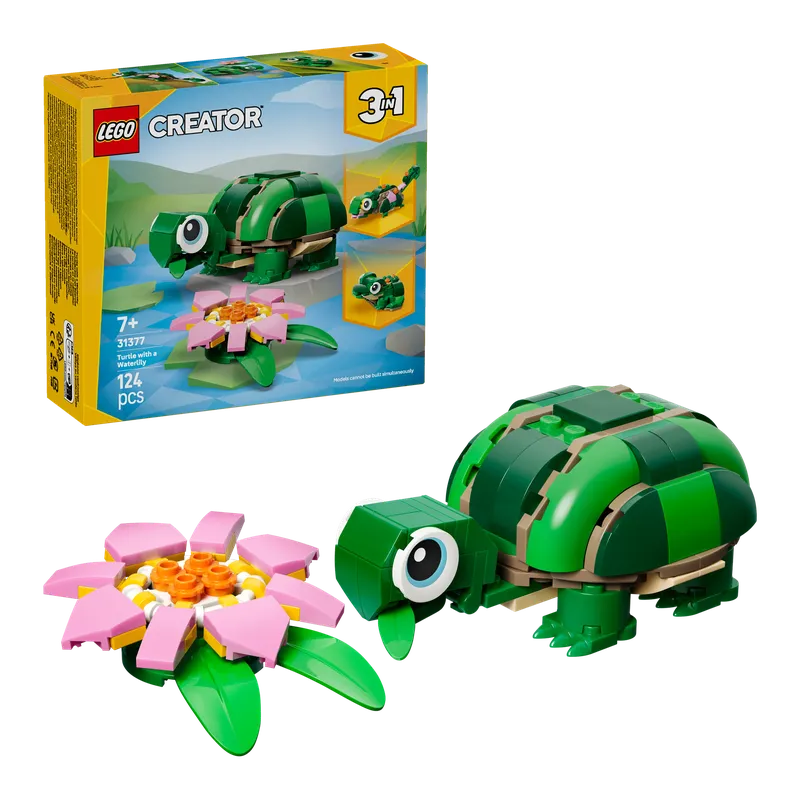 Turtle with a Water Lily Flower