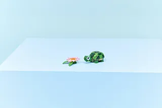 Turtle with a Water Lily Flower by LEGO – product photo 10 of 25