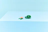 Schildpad met waterlelie - Afbeelding 10 van 24