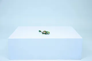 Turtle with a Water Lily Flower by LEGO – product photo 11 of 25