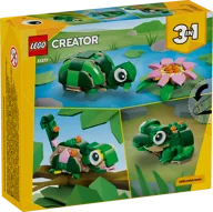 Schildpad met waterlelie - Afbeelding 13 van 24