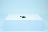 Schildpad met waterlelie - Afbeelding 23 van 24